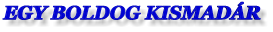EGY BOLDOG KISMADR