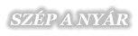 SZP A NYR